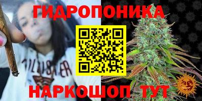 mdpv Новодвинск
